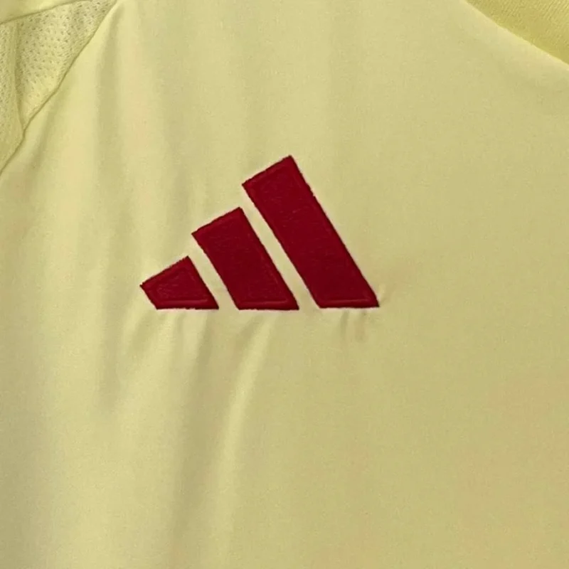 2024 Spain National Team Away Football Shirt  1:1 Thai quality - Image 5